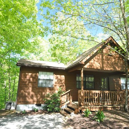 Adalynn'S Mountain Retreat-Hot Tub, 1089 Of Free Tickets For Each Paid Day, Dollywood And More! Pigeon Forge Exterior foto